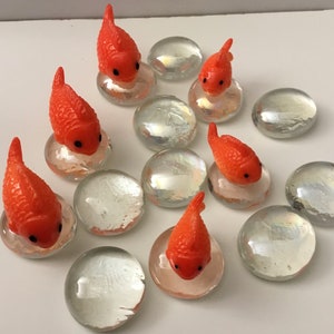 Goldfish for Haftseen- 4 or 6 fish on glass rocks with glass rocks  Nowruz haftsin 7sin vegetarian
