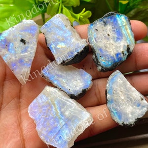 Puede incluir: Una colecci&oacute;n de cristales de piedra lunar en bruto e iridiscentes. Las piedras muestran una mezcla de blanco, azul y colores del arco&iacute;ris, con bordes oscuros e irregulares. La imagen se presenta sobre un fondo de follaje verde, resaltando la belleza natural de las gemas.