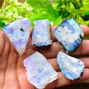Puede incluir: Se muestran cinco cristales de piedra lunar en bruto con destellos iridiscentes azules y blancos. Las piedras en bruto tienen bordes oscuros y naturales y se sostienen en una mano. La imagen est&aacute; etiquetada como "Kingdom of Gems".