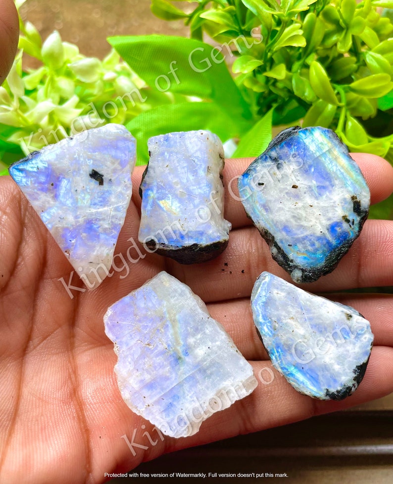 Puede incluir: Se muestran cinco cristales de piedra lunar en bruto con destellos iridiscentes azules y blancos. Las piedras en bruto tienen bordes oscuros y naturales y se sostienen en una mano. La imagen est&aacute; etiquetada como "Kingdom of Gems".