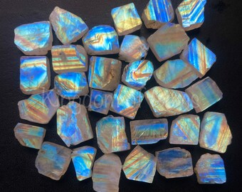 May include: A collection of raw moonstone fragments featuring iridescent blue and gold flashes across their surfaces. Each piece displays a unique, semi-translucent crystalline structure with sharp, angular edges and a polished, reflective sheen.