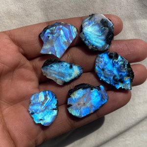 May include: A collection of six raw, iridescent labradorite stones. The stones display a vibrant play of color, with flashes of blue, teal, and white. Each stone has a rough, natural texture with dark edges. The stones are displayed on a neutral background.