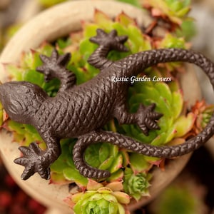 Pode incluir: Uma estatueta de lagarto de ferro fundido texturizado castanho-escuro com uma cauda longa e curva, posicionada sobre um grupo de plantas suculentas verdes com pontas avermelhadas. O texto "Rustic Garden Lovers" é visível no corpo.