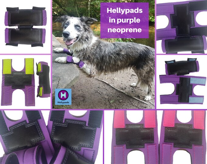 Hellypads carpal pad protectors for dogs stopper pads Etsy