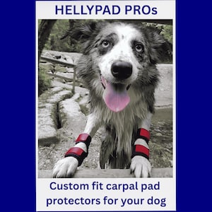 HELLYPAD PROS pair of dog carpal pad and dewclaw protectors, bespoke, handmade out of neoprene, hook & loop fastening and leather