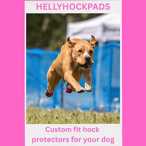 HELLYHOCKPADS pair of custom-fit hock protectors for a dog&#39;s lower back legs. Handmade in neoprene, hook & loop fastening and leather