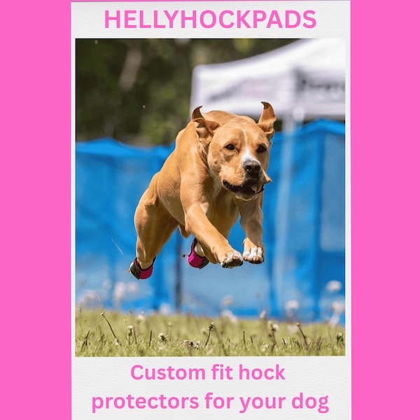 HELLYHOCKPADS pair of hock protectors custom-fitted dog's lower back legs in neoprene, hook/loop and leather