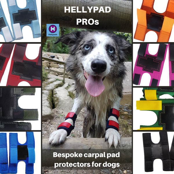 HELLYPAD PROS pair of dog carpal pad and dewclaw protectors, bespoke, handmade out of neoprene, hook & loop fastening and leather