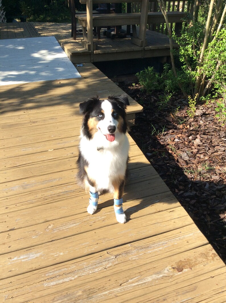 Hellypads carpal pad protectors for dogs stopper pads Etsy