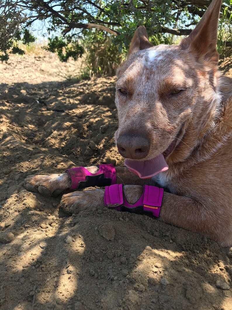 Hellypads carpal pad protectors for dogs stopper pads Etsy