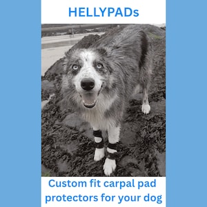 HELLYPADS bespoke pair of carpal pad protectors for dogs, custom-fit - handmade for flyball & speedy dogs in neoprene, hook/loop and leather