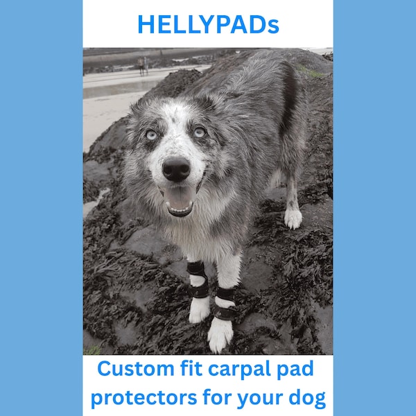 HELLYPADS pair of dog carpal pad dewclaw wrap protectors, custom-fit pair neoprene, hook/loop, leather