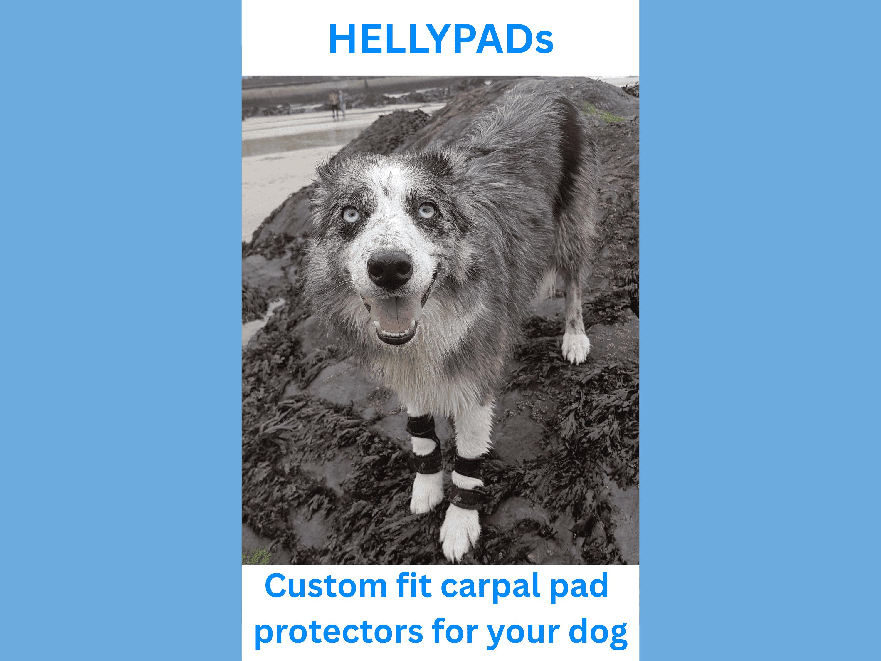 HELLYPADS Pair of Dog Carpal Pad Dewclaw Wrap Protectors, Custom
