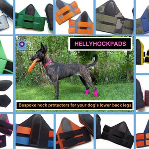 HELLYHOCKPADS pair of custom-fit hock protectors for a dog's lower back legs. Handmade in neoprene, hook & loop fastening and leather