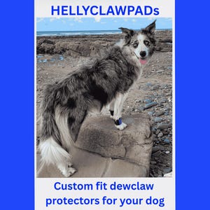 Par de protectores de espolones para patas delanteras de perro HELLYCLAWPADS, vendajes personalizados hechos a medida en neopreno, cierre de velcro y cuero.