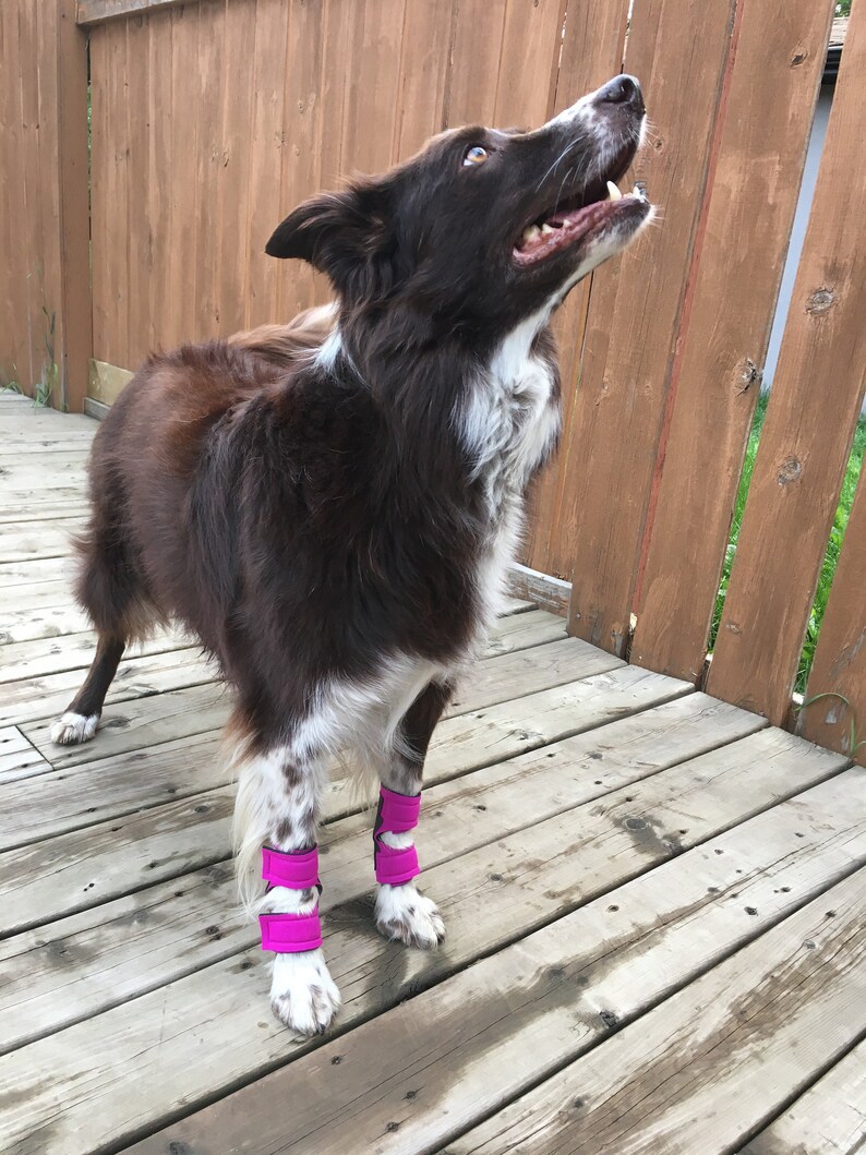 Hellypads carpal pad protectors for dogs stopper pads Etsy