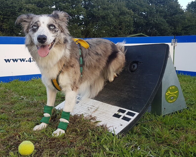 Hellypads carpal pad protectors for dogs stopper pads Etsy