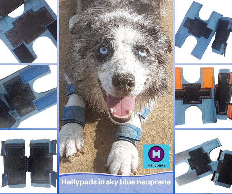 Hellypads carpal pad protectors for dogs stopper pads Etsy