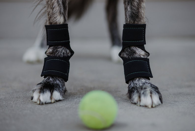 Hellypads carpal pad protectors for dogs stopper pads Etsy