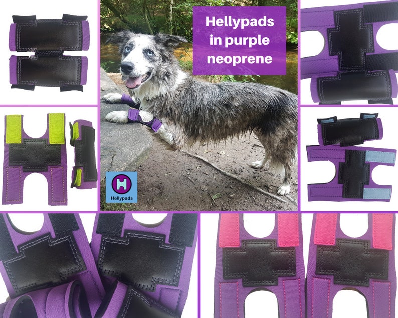 Hellypads Carpal Pad Protectors for Dogs stopper Pads Etsy