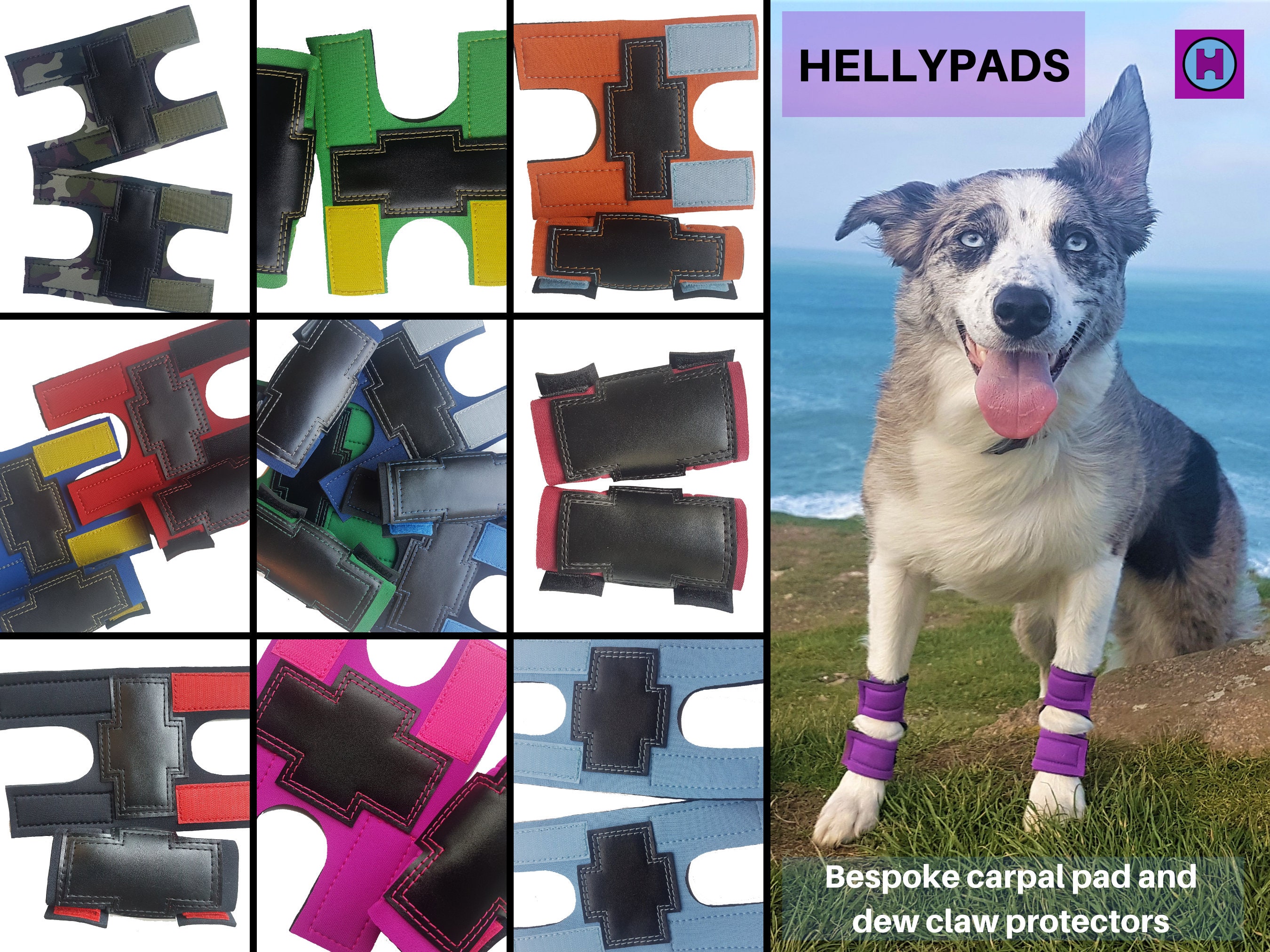 What Are Dogs Carpal Pads For