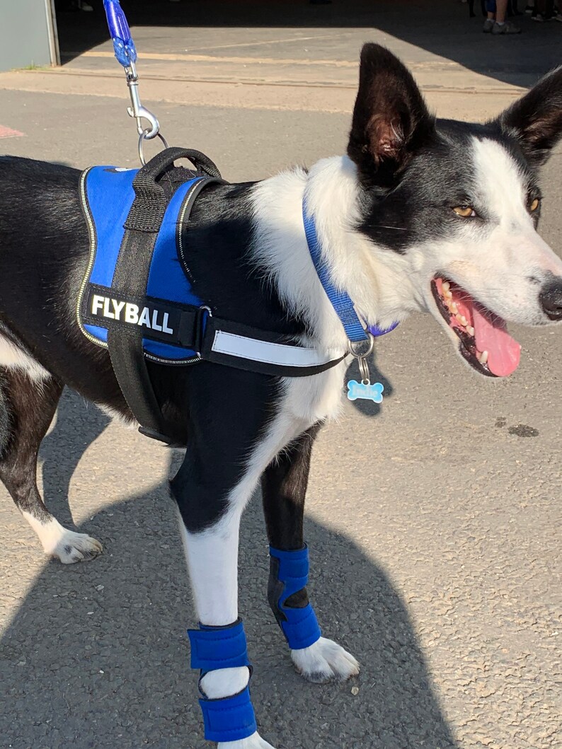 Hellypads carpal pad protectors for dogs stopper pads Etsy