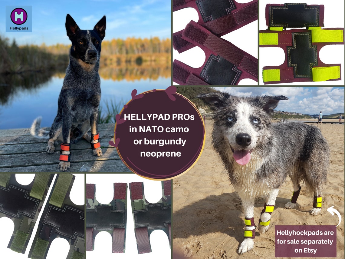 HELLYPAD PROS Pair of Dog Carpal Pad and Dew Claw Protectors Etsy