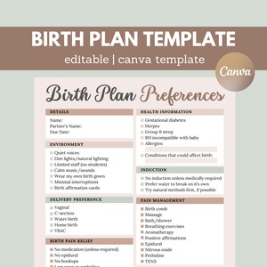 Editable Birth Plan Template | Visual Birth Plan | Labor & Delivery Plan | Pregnancy Planner | New Mom Planner | Birth Plan Checklist