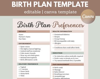 Editable Birth Plan Template | Visual Birth Plan | Labor & Delivery Plan | Pregnancy Planner | New Mom Planner | Birth Plan Checklist