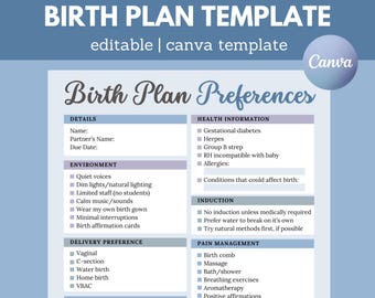 Editable Birth Plan Template | Visual Birth Plan | Labor & Delivery Plan | Pregnancy Planner | New Mom Planner | Birth Plan Checklist | Blue