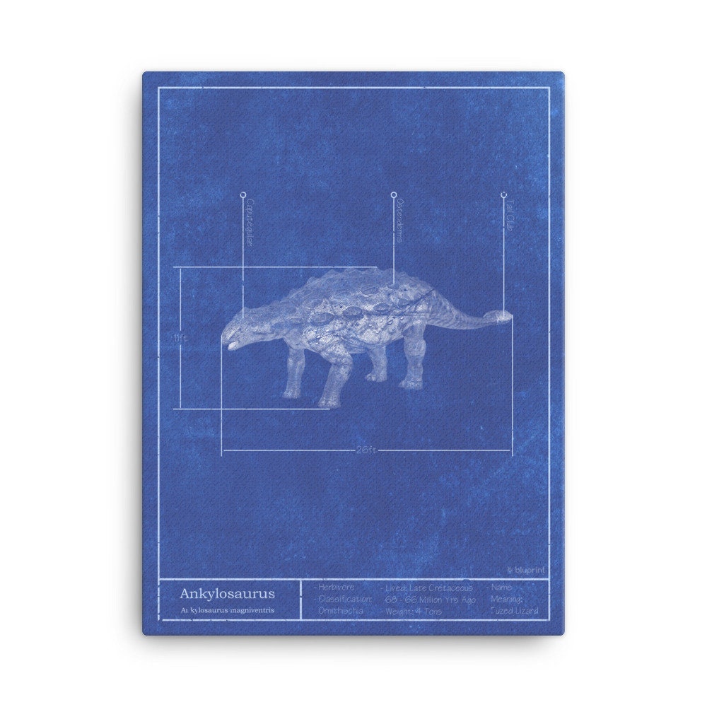 Arte esquemático del dinosaurio Ankylosaurus. Tamaños 5x7 a - Etsy México Arte esquemático del dinosaurio Ankylosaurus. Tamaños 5x7 a - Etsy México