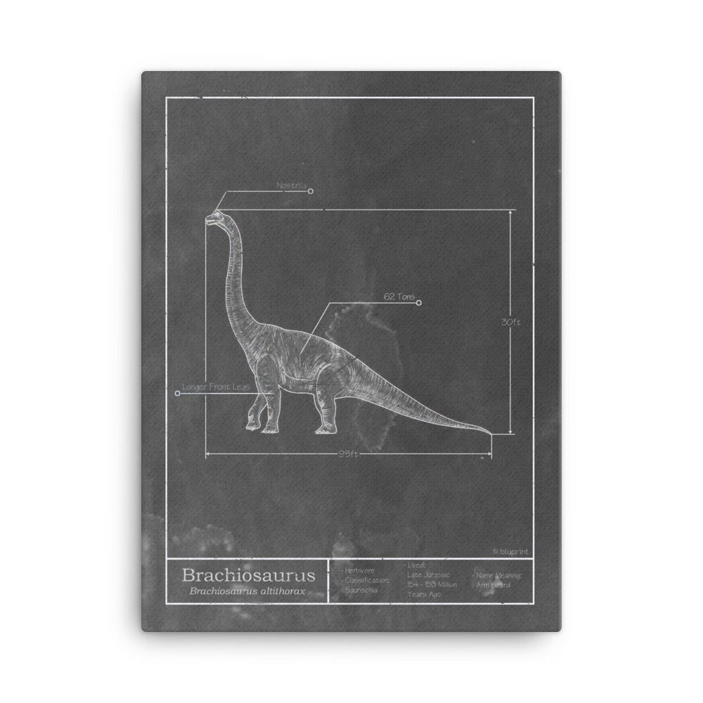 brachiosaurus footprint