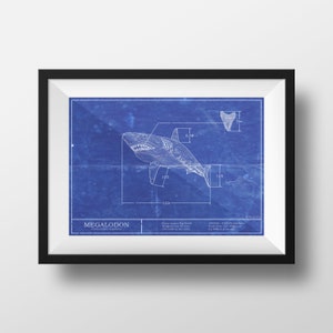 Megalodon Blueprint Schematic Print - Vintage Kids Room Decor