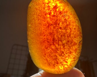 Polished amber, Baltic amber, Sumatran amber, real amber, natural amber stone, blue amber, clear amber