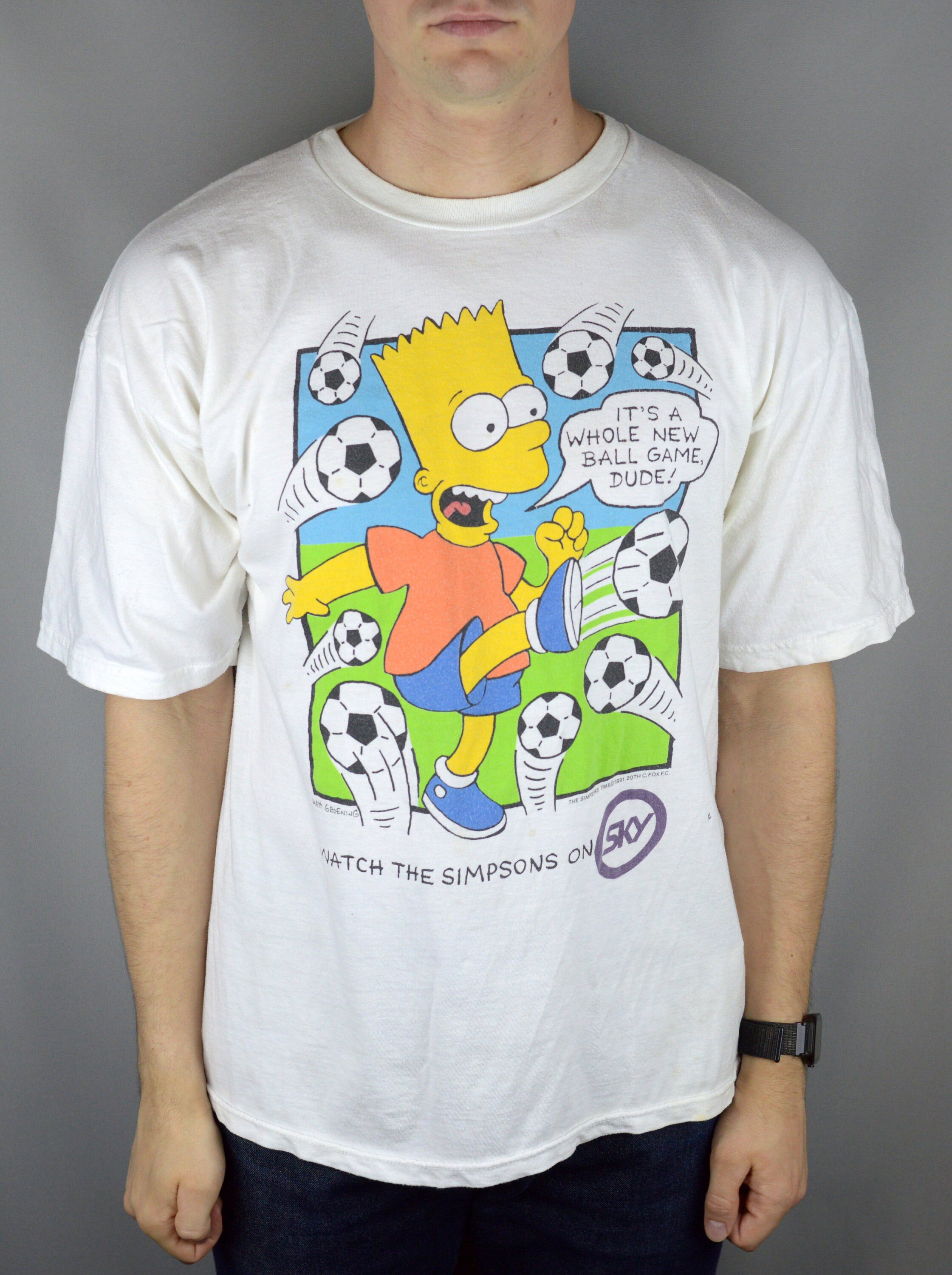 scenic simpsons t shirt