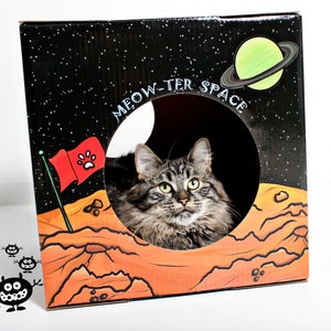 Kitty Cardboard Designer Boxes (Condos/Playhouses) for Cats - MEOW-TER SPACE!