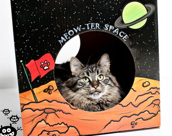 Kitty Cardboard Designer Boxes (Condos/Playhouses) for Cats - MEOW-TER SPACE!