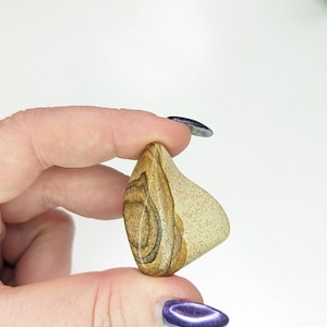 Landscape Jasper tumbled stone.