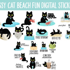 Sassy Cat's Beach Fun Digital Stickers GoodNotes, iPad and Android Ocean, Funny, Feline image 3