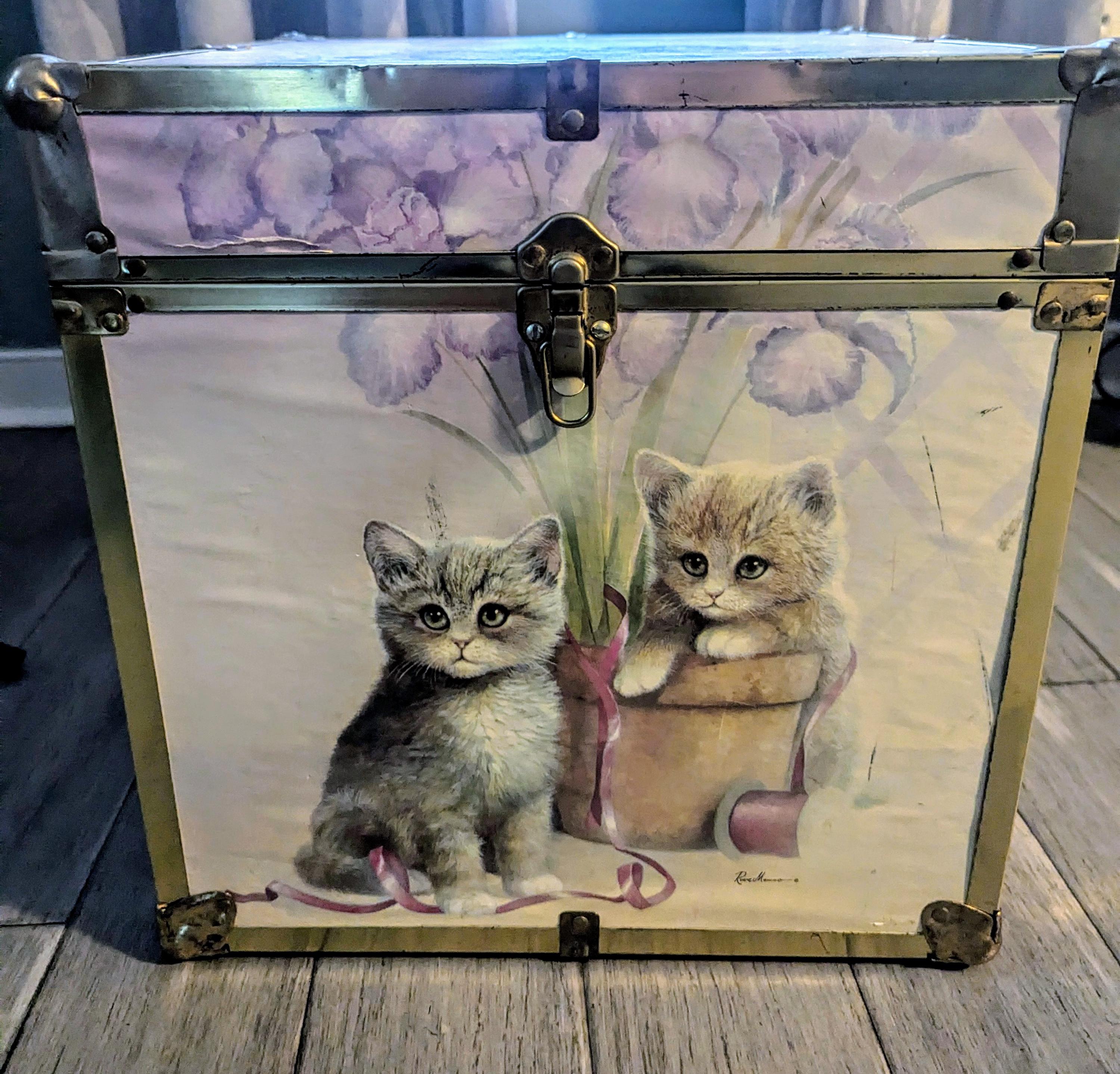 【ACME FURNITURE】花井氏STUFFED CAT with BOX ACME FURNITURE】花井氏STUFFED CAT with BOX ACME FURNITURE】花井氏