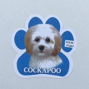May include: A Cockapoo dog image on a blue paw-shaped background. The dog has white and tan fur, with dark eyes and nose. The text "COCKAPOO" is at the bottom, and "ITEM (#39)" is in the upper right corner.