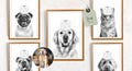 Custom Pet Portrait Toilet Paper Bathroom Art, Dog Cat Illustration (Digital Download)
