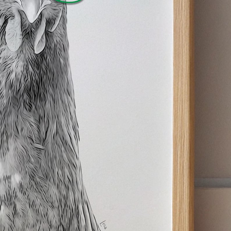 May include: A black and white drawing of a bird's head and neck, with detailed feather textures. The artwork is framed in a light-colored wooden frame, creating a minimalist aesthetic. The artist's signature is visible in the lower right corner.