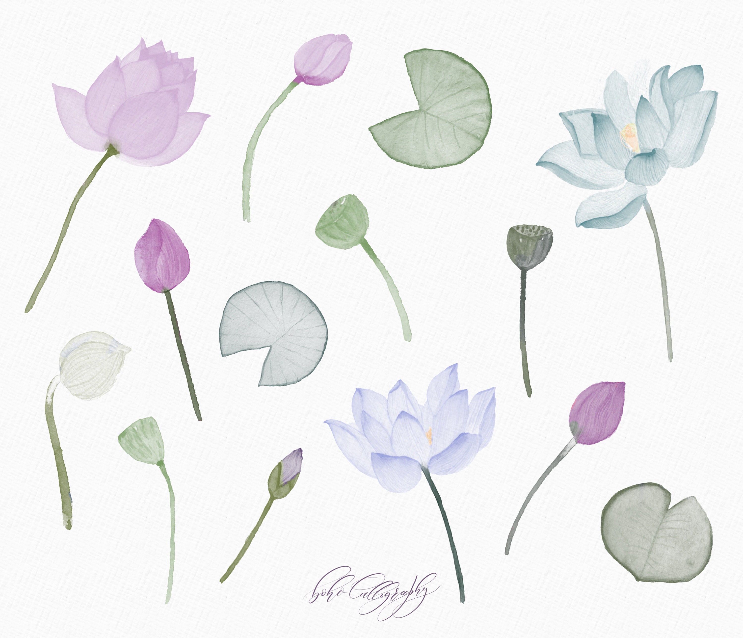 Hand Painted Watercolor Lotus Flowers Procreate Stamp Brushes ...
