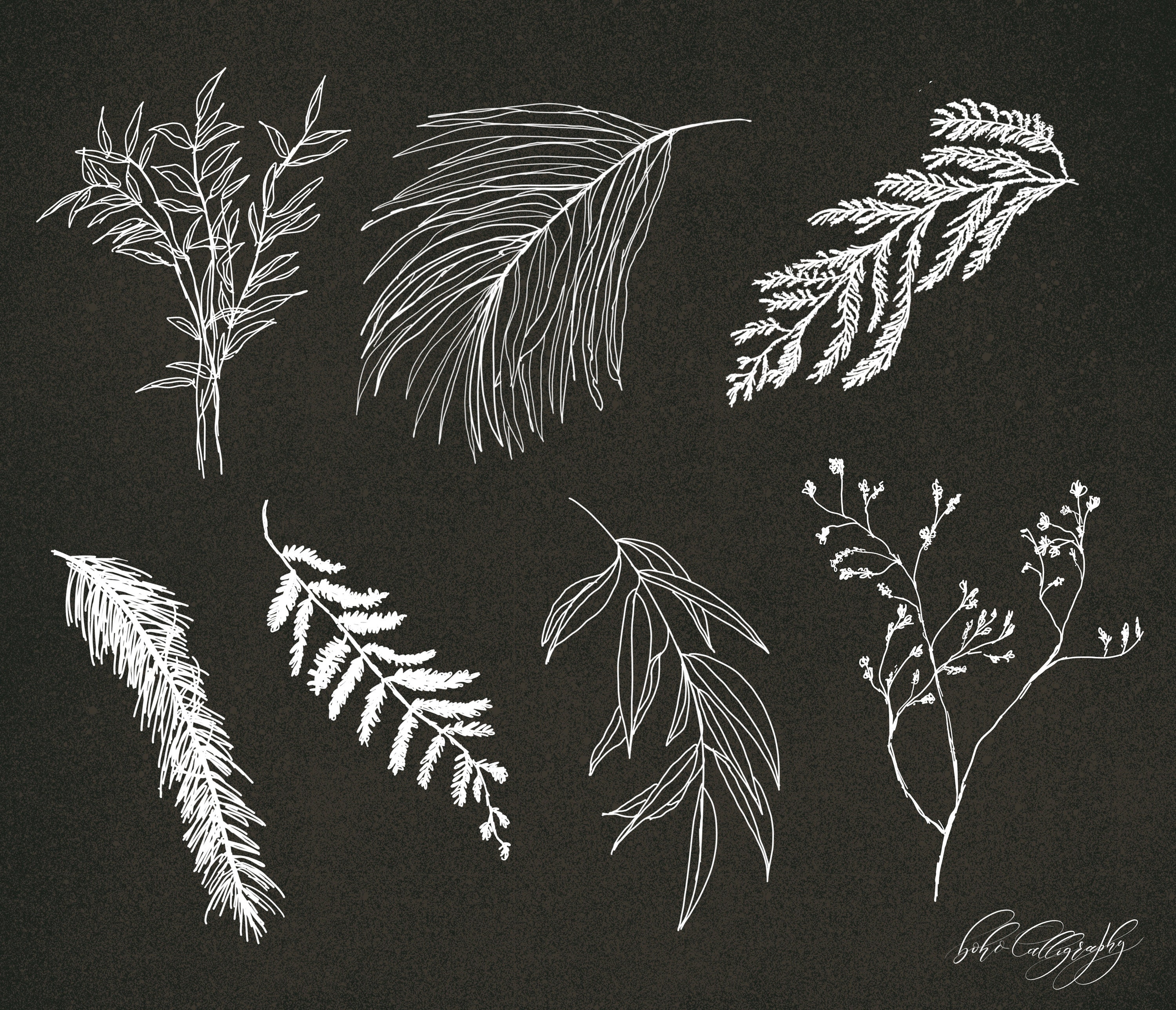 Wild Foliage Hand Drawn Procreate Stamp Brushes | Delicate Botanical ...