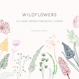 Wildflowers Hand drawn Procreate stamp brushes | Delicate botanical Line Illustration Procreate Stamps