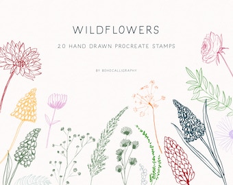 Wildflowers Hand drawn Procreate stamp brushes | Delicate botanical Line Illustration Procreate Stamps