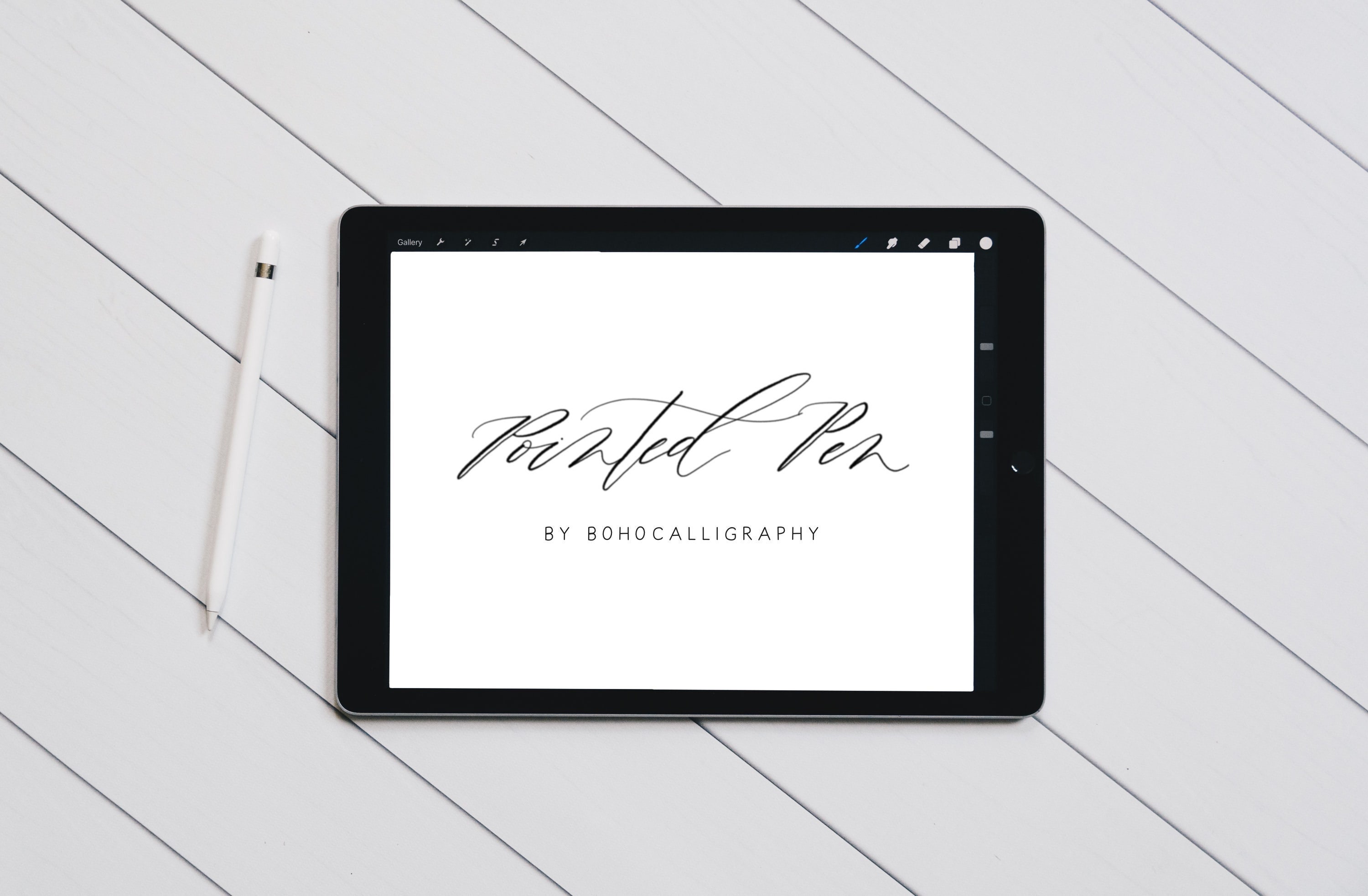 Dip Pen Procreate Kalligrafie Brush Moderne belettering penseel