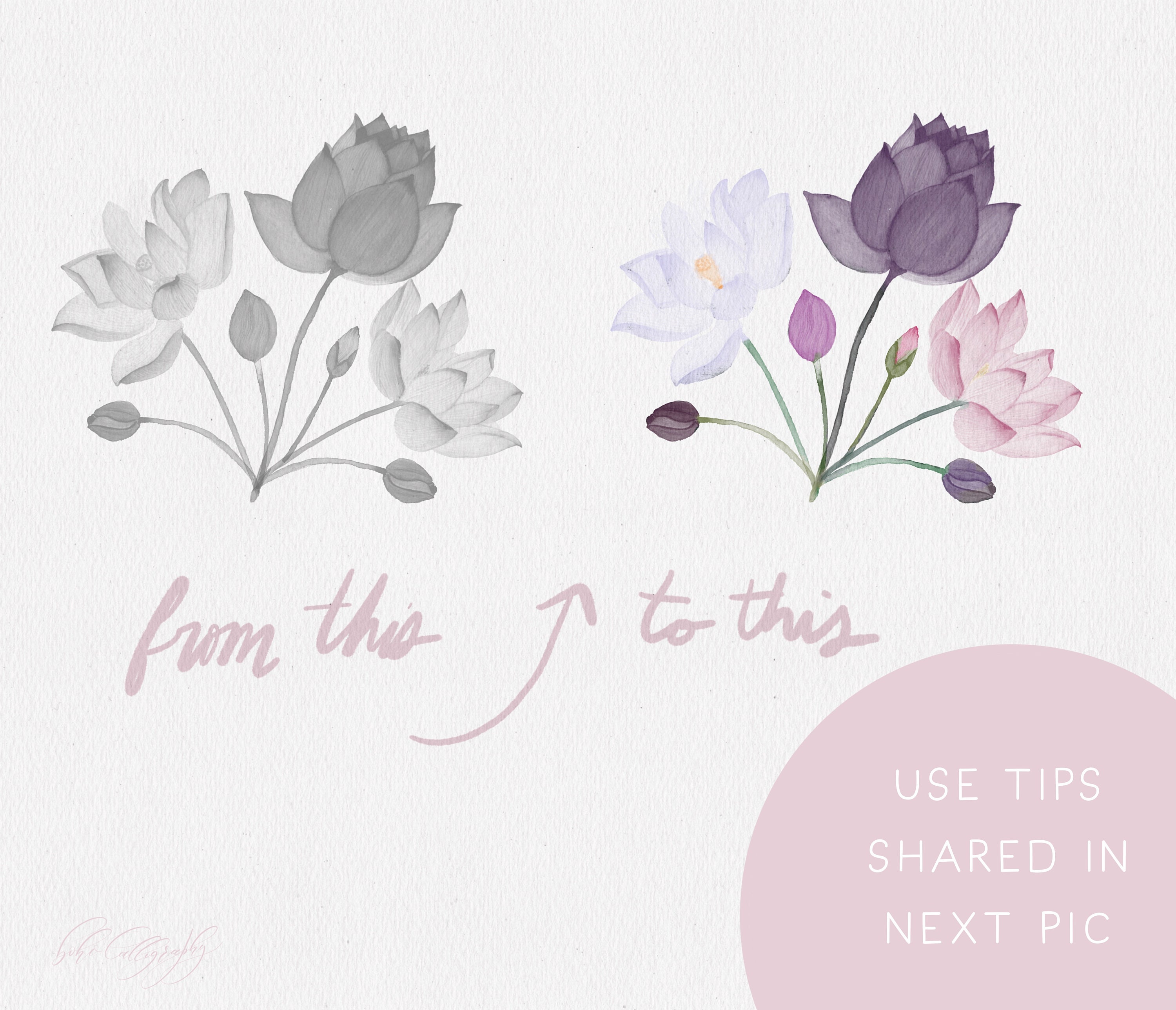 Hand Painted Watercolor Lotus Flowers Procreate Stamp Brushes ...