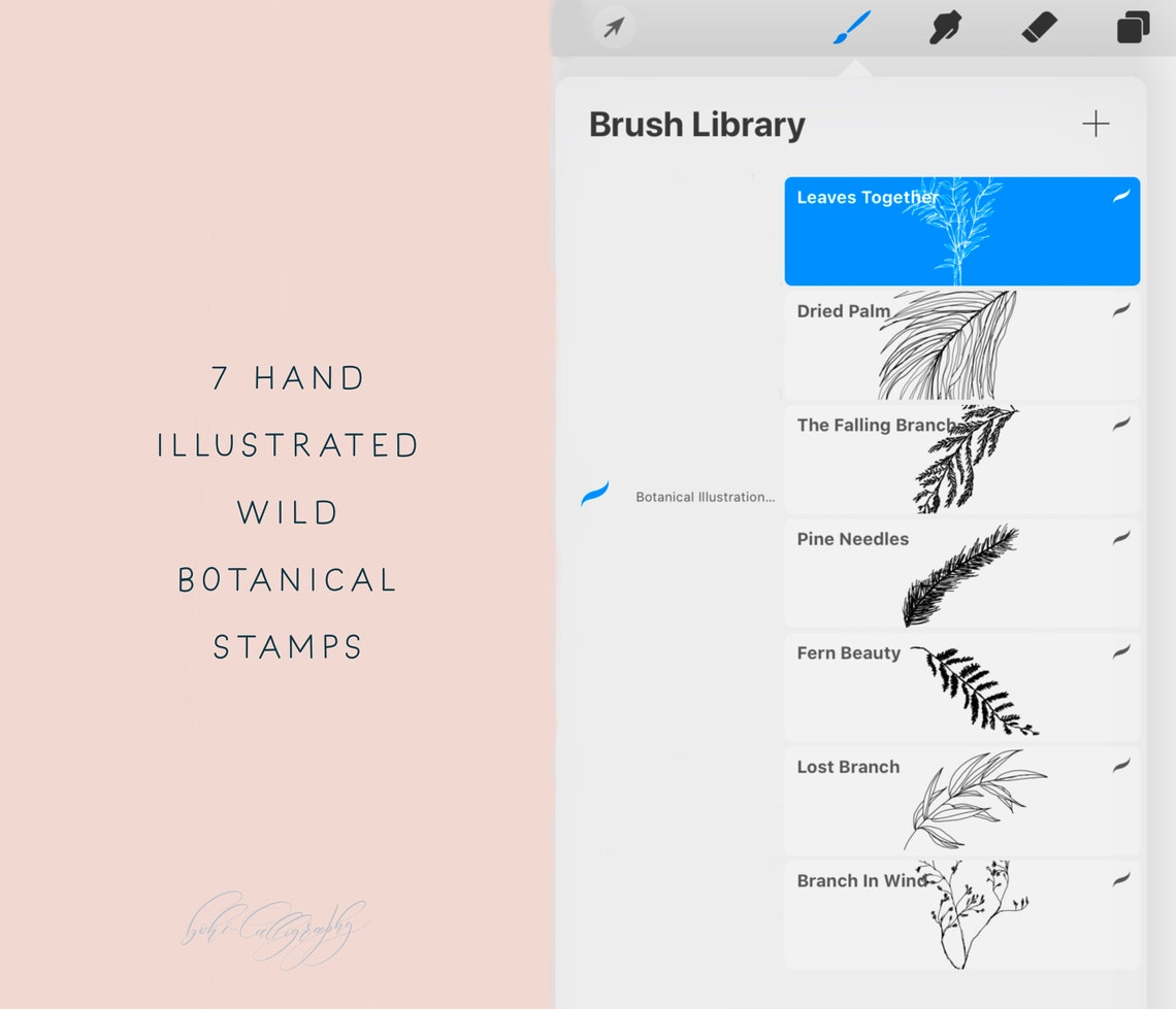 Wild Foliage Hand Drawn Procreate Stamp Brushes | Delicate Botanical ...